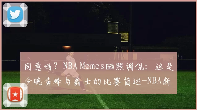 同意吗？NBA Memes晒照调侃：这是今晚黄蜂与爵士的比赛简述-NBA新闻